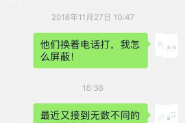 合阳合阳的要账公司在催收过程中的策略和技巧有哪些？